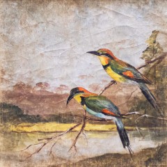 LES DEUX GUEPIERS ARC-EN-CIEL (120x120cm) LES DEUX GUEPIERS ARC-EN-CIEL (120x120cm)